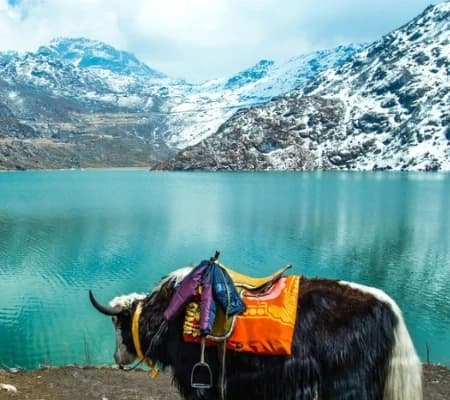Tsomgo (Changu) Lake