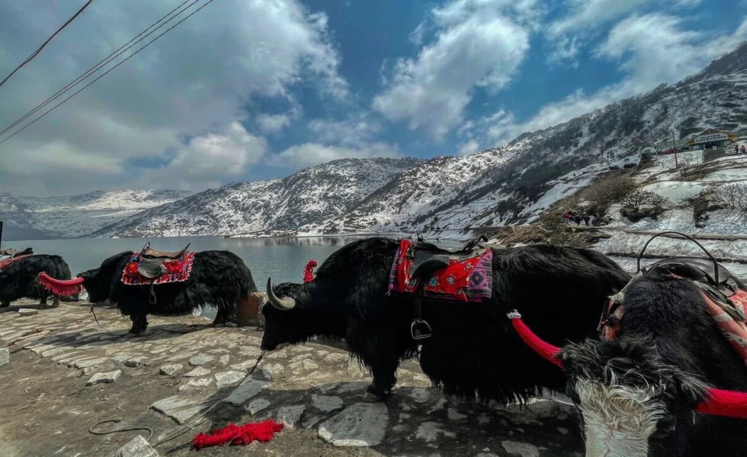East Sikkim