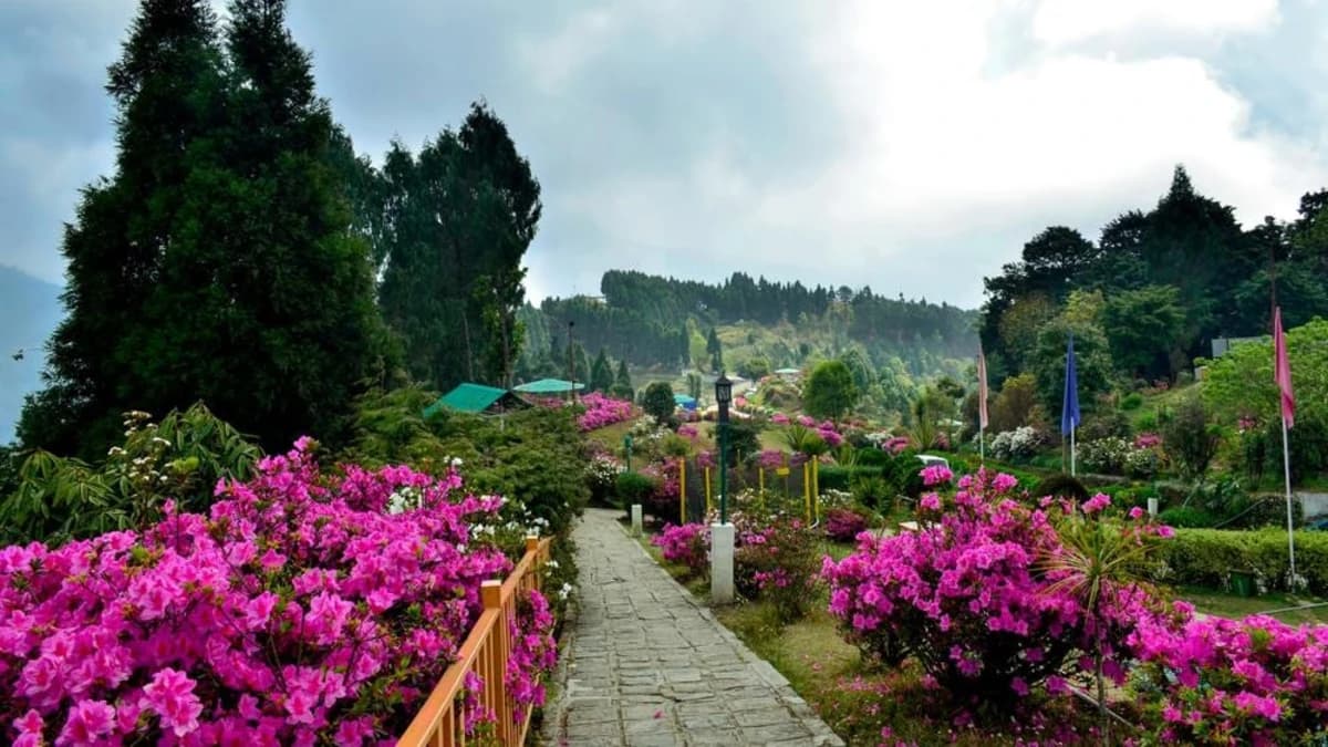 Kalimpong