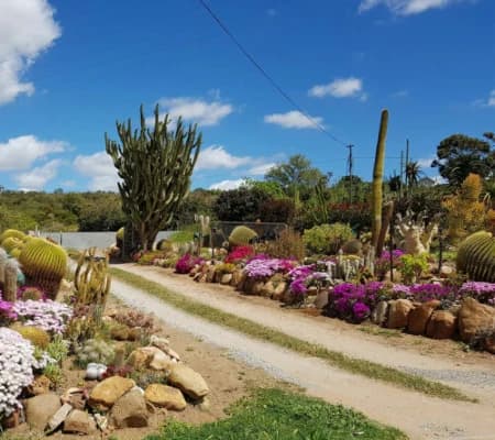 Flower Nurseries and Cactus Gardens